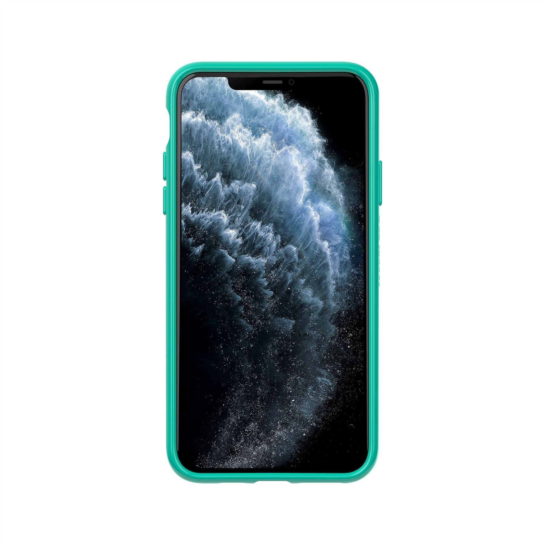 Playful Medley - Apple iPhone 11 Pro Max Case - Mint